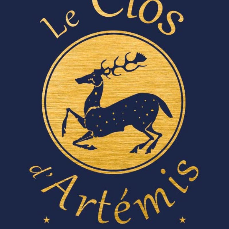 CLOS_DARTEMIS_Logo_Plan de travail 1 copie 4